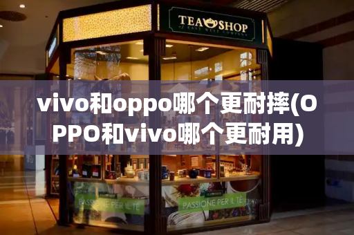 vivo和oppo哪个更耐摔(OPPO和vivo哪个更耐用)-第1张图片-星选测评