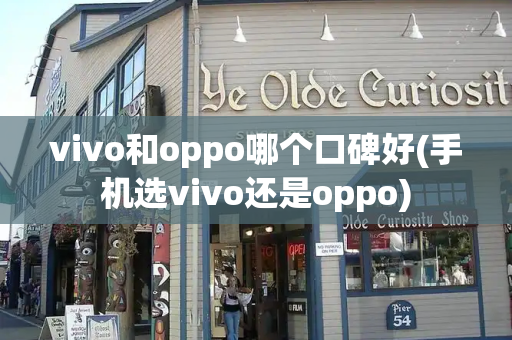 vivo和oppo哪个口碑好(手机选vivo还是oppo)