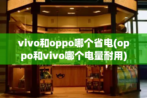 vivo和oppo哪个省电(oppo和vivo哪个电量耐用)-第1张图片-星选测评