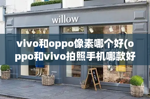 vivo和oppo像素哪个好(oppo和vivo拍照手机哪款好)