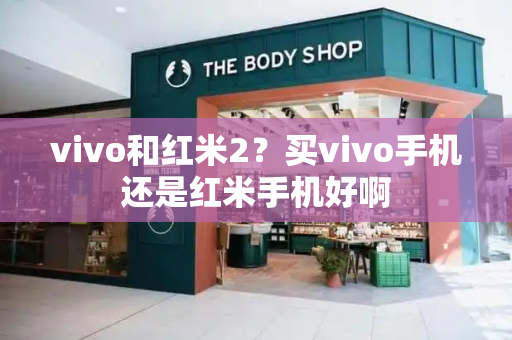 vivo和红米2？买vivo手机还是红米手机好啊-第1张图片-星选测评