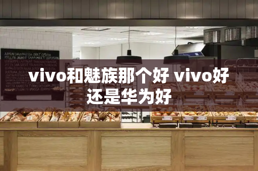 vivo和魅族那个好 vivo好还是华为好-第1张图片-星选测评