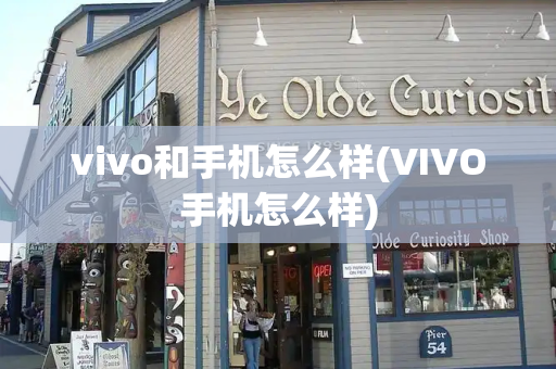 vivo和手机怎么样(VIVO手机怎么样)