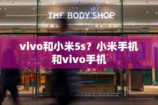 vivo和小米5s？小米手机和vivo手机-第1张图片-星选测评