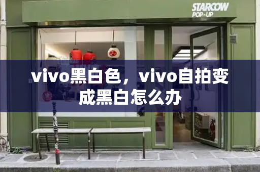 vivo黑白色，vivo自拍变成黑白怎么办