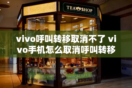 vivo呼叫转移取消不了 vivo手机怎么取消呼叫转移-第1张图片-星选测评
