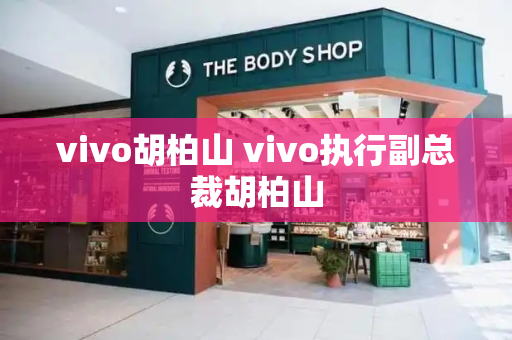 vivo胡柏山 vivo执行副总裁胡柏山