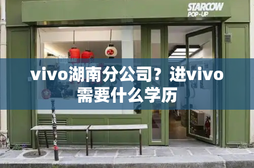 vivo湖南分公司？进vivo需要什么学历