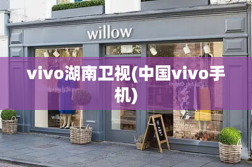 vivo湖南卫视(中国vivo手机)