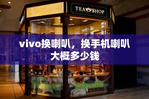 vivo换喇叭，换手机喇叭大概多少钱-第1张图片-星选测评