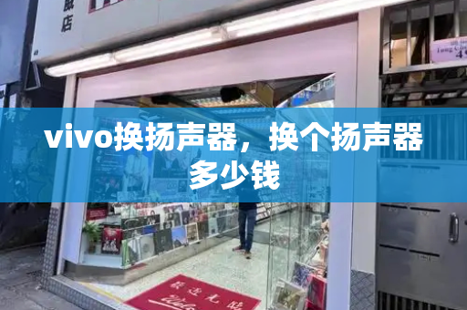 vivo换扬声器，换个扬声器多少钱