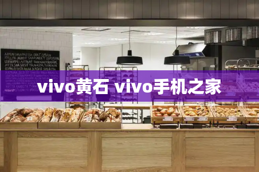 vivo黄石 vivo手机之家