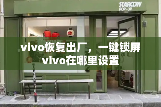 vivo恢复出厂，一键锁屏vivo在哪里设置-第1张图片-星选测评