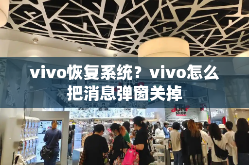 vivo恢复系统？vivo怎么把消息弹窗关掉-第1张图片-星选测评