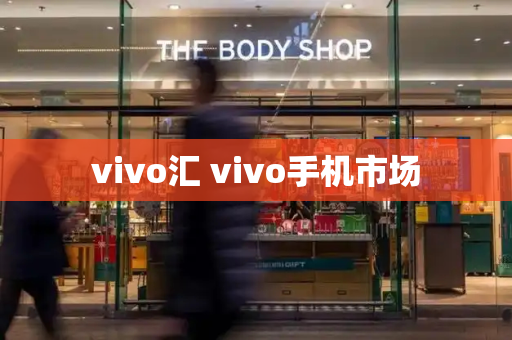 vivo汇 vivo手机市场-第1张图片-星选测评