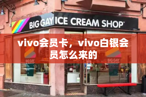 vivo会员卡，vivo白银会员怎么来的-第1张图片-星选测评