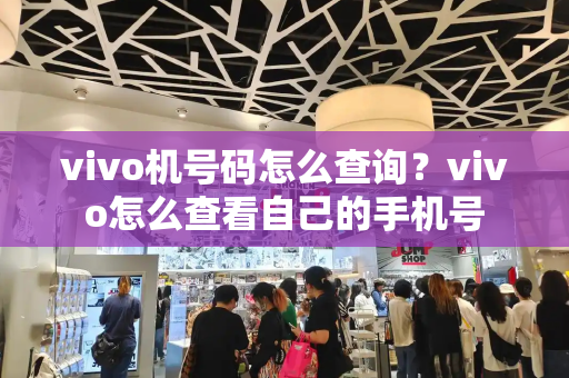 vivo机号码怎么查询？vivo怎么查看自己的手机号