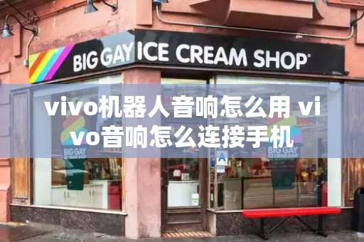 vivo机器人音响怎么用 vivo音响怎么连接手机-第1张图片-星选测评