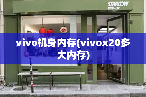 vivo机身内存(vivox20多大内存)-第1张图片-星选测评
