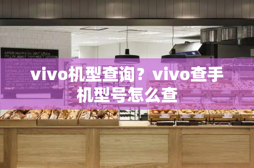 vivo机型查询？vivo查手机型号怎么查
