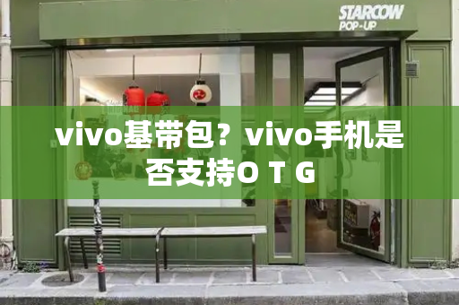 vivo基带包？vivo手机是否支持O T G