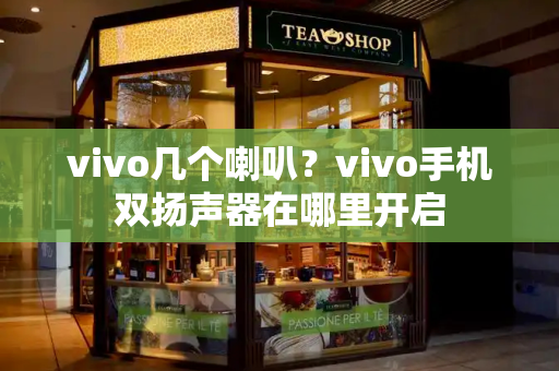 vivo几个喇叭？vivo手机双扬声器在哪里开启