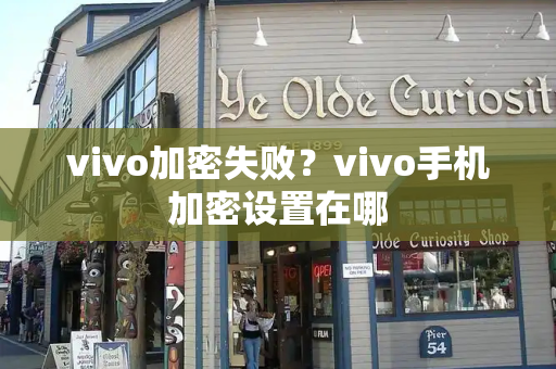 vivo加密失败？vivo手机加密设置在哪