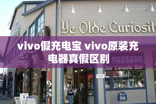 vivo假充电宝 vivo原装充电器真假区别