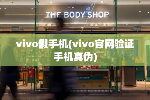 vivo假手机(vivo官网验证手机真伪)-第1张图片-星选测评