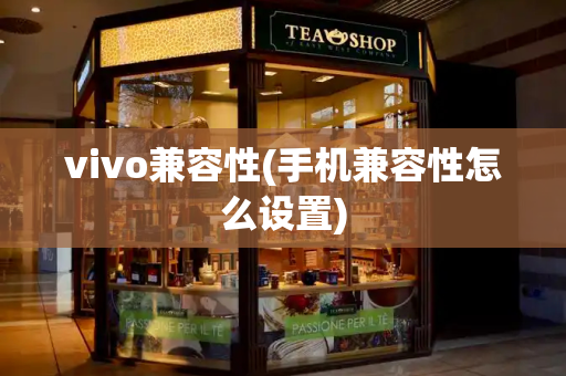 vivo兼容性(手机兼容性怎么设置)