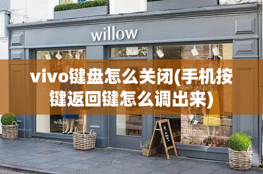 vivo键盘怎么关闭(手机按键返回键怎么调出来)-第1张图片-星选测评