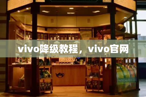 vivo降级教程，vivo官网