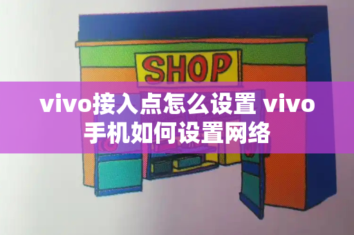 vivo接入点怎么设置 vivo手机如何设置网络-第1张图片-星选测评