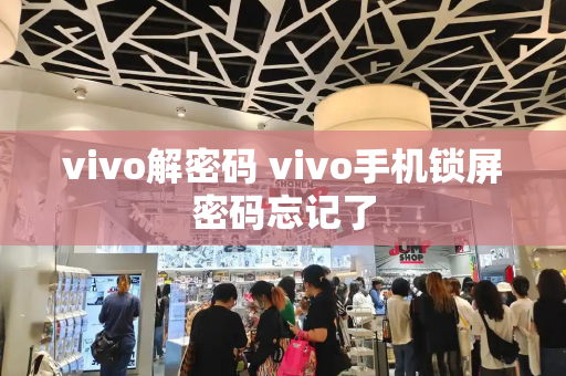 vivo解密码 vivo手机锁屏密码忘记了
