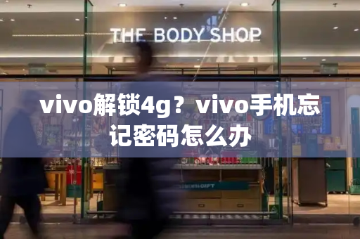 vivo解锁4g？vivo手机忘记密码怎么办