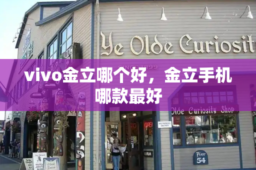vivo金立哪个好，金立手机哪款最好