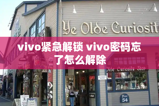 vivo紧急解锁 vivo密码忘了怎么解除