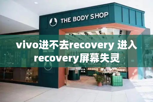 vivo进不去recovery 进入recovery屏幕失灵-第1张图片-星选测评