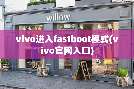 vivo进入fastboot模式(vivo官网入口)