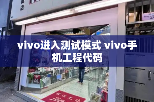 vivo进入测试模式 vivo手机工程代码