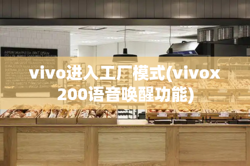 vivo进入工厂模式(vivox200语音唤醒功能)