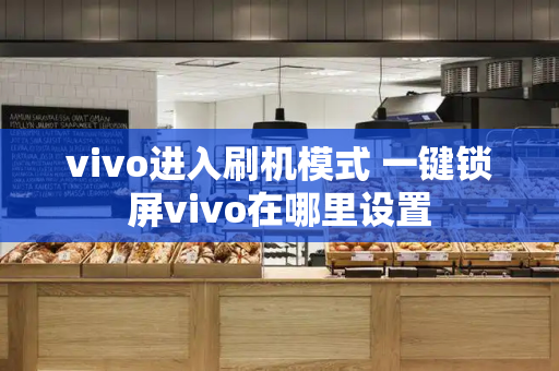 vivo进入刷机模式 一键锁屏vivo在哪里设置-第1张图片-星选测评