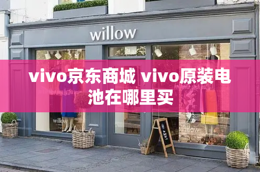 vivo京东商城 vivo原装电池在哪里买