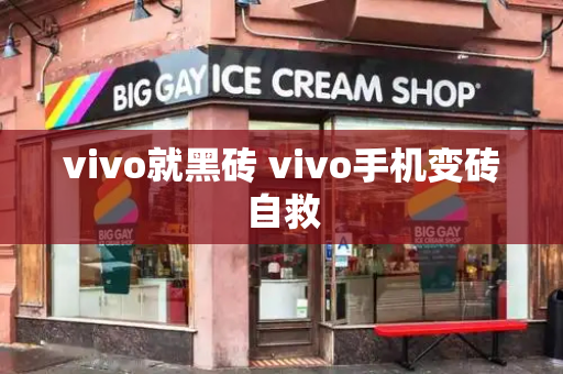 vivo就黑砖 vivo手机变砖自救-第1张图片-星选测评