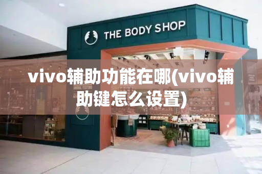 vivo辅助功能在哪(vivo辅助键怎么设置)-第1张图片-星选测评