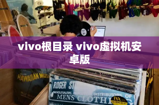 vivo根目录 vivo虚拟机安卓版