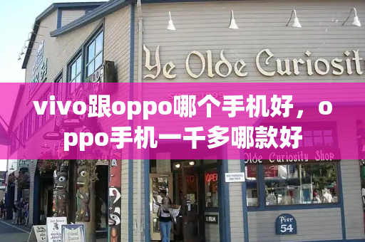 vivo跟oppo哪个手机好，oppo手机一千多哪款好-第1张图片-星选测评