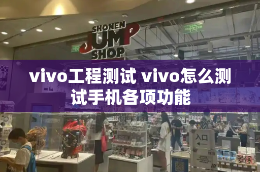 vivo工程测试 vivo怎么测试手机各项功能-第1张图片-星选测评