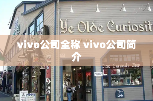vivo公司全称 vivo公司简介