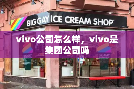 vivo公司怎么样，vivo是集团公司吗